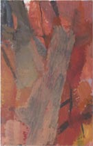 Canyon II